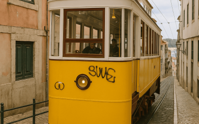 LEGAL ASSISTANCE FOR VICTIMS OF THE CRASH in LISBON
